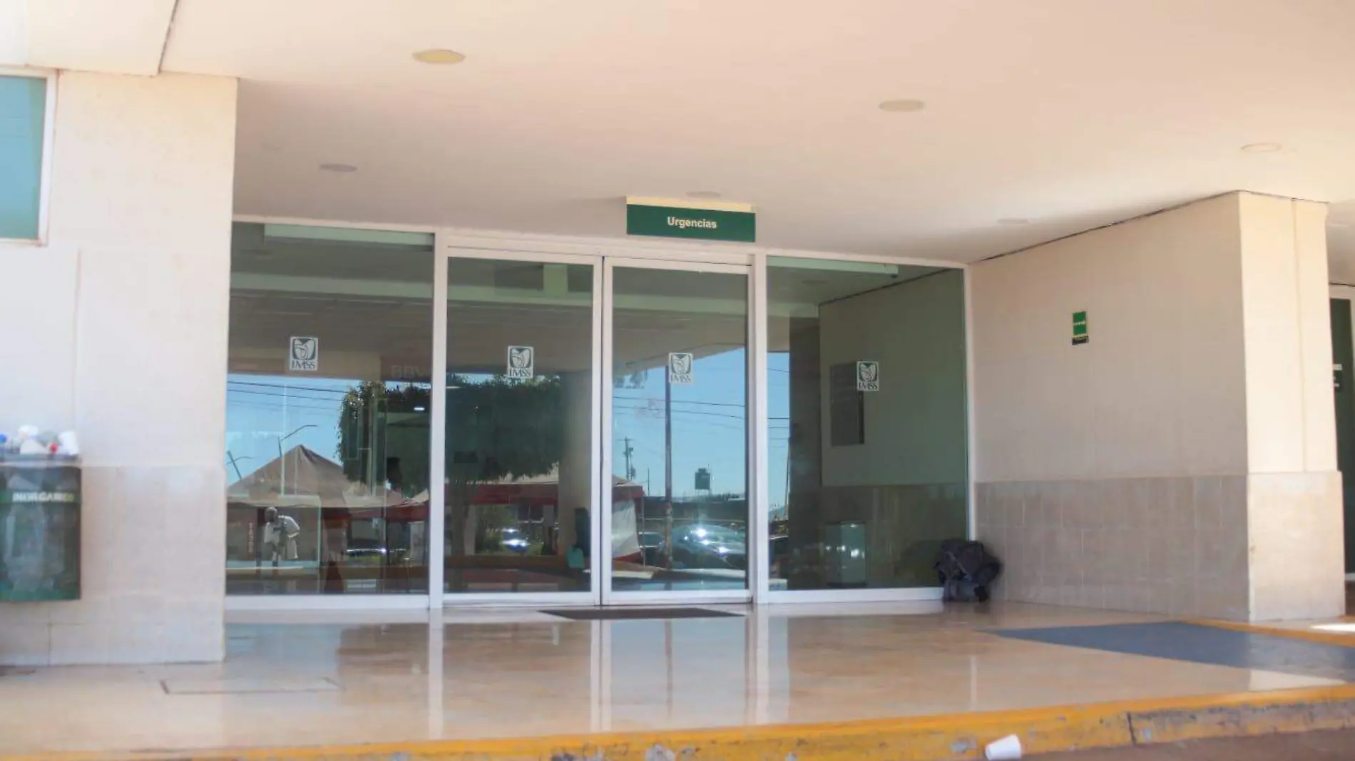 IMSS Tamayo3